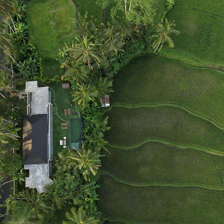 Hatiku Di Bali - Ubud Tegallalang  Buitenkant foto
