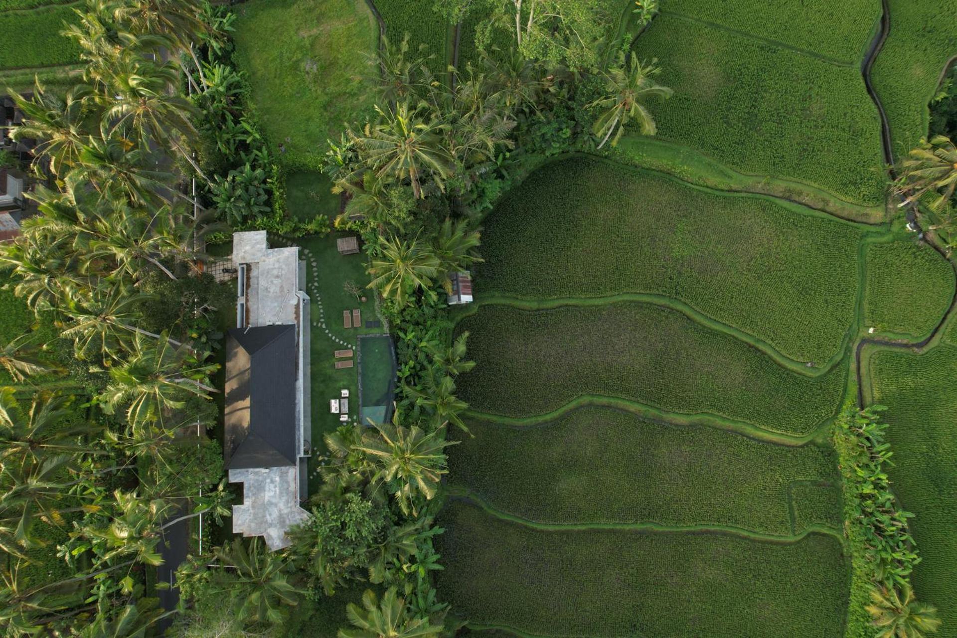 Hatiku Di Bali - Ubud Tegallalang  Buitenkant foto