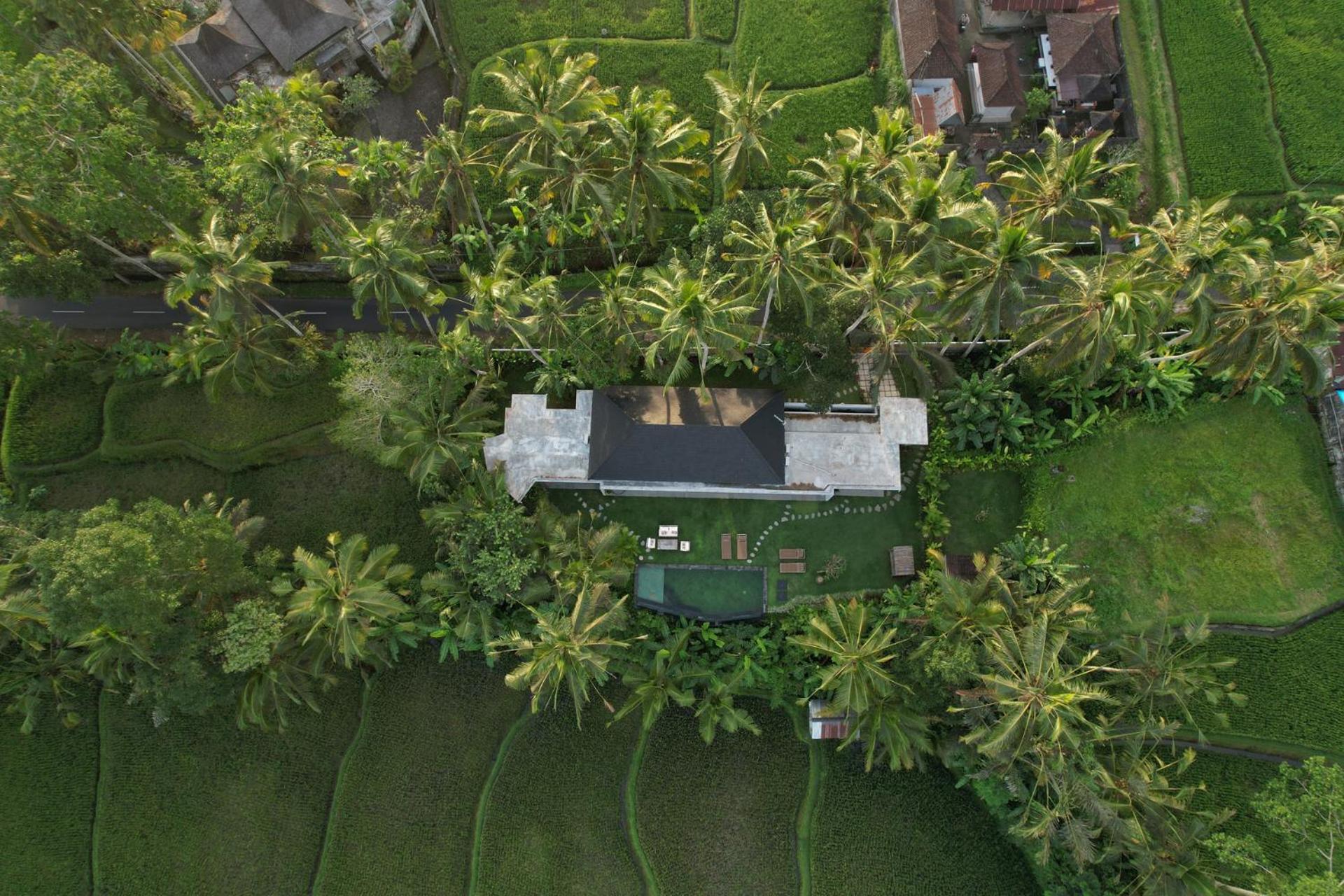 Hatiku Di Bali - Ubud Tegallalang  Buitenkant foto